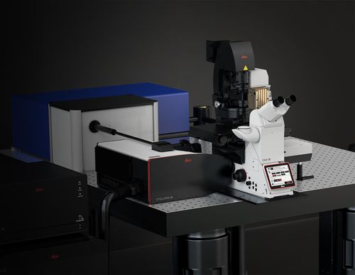 Microscopio CARS - STELLARIS CRS  - Leica Microsystems - ottico / Raman / per biologia