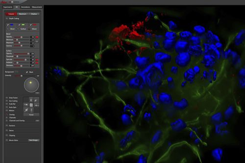 Software di visualizzazione - LAS X - Leica Microsystems - medico / da laboratorio / per microscopi digitali