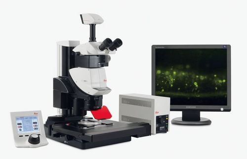 Stereomicroscopio digitale - M205 series - Leica Microsystems - da laboratorio / da ricerca / binoculare