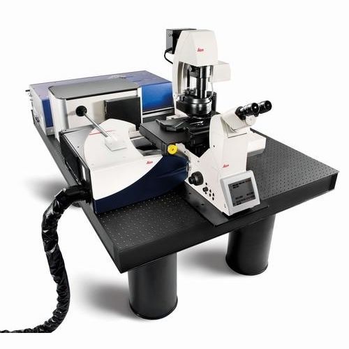 Microscopio CARS - TCS SP8  - Leica Microsystems - infrarosso / infrarosso / da laboratorio
