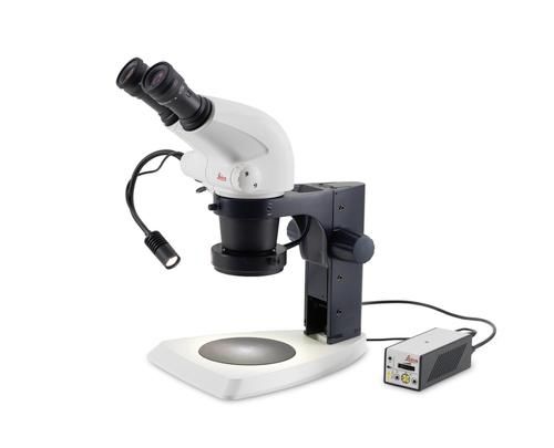 Fonte di luce per stereomicroscopi - LED1000 - Leica Microsystems - LED / compatta
