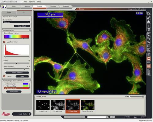 Software medico - LAS Image Overlay - Leica Microsystems - da laboratorio / per microscopi digitali / di visualizzazione
