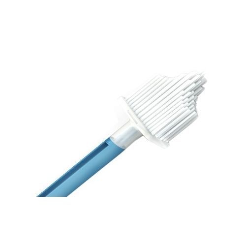 Spazzola citologica cervicale - PM-CARE® ENDOEXO - Prince Medical - monouso