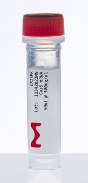 Reagente Proteina Cas9 - CAS9MRNA-1EA - Merck - per sequenziamento di DNA