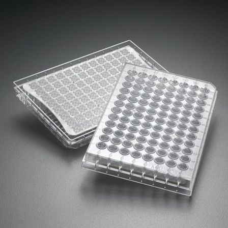 Micropiastra da ricerca - Multiscreen® - Merck - per coltura cellulare / con filtro / a filtro