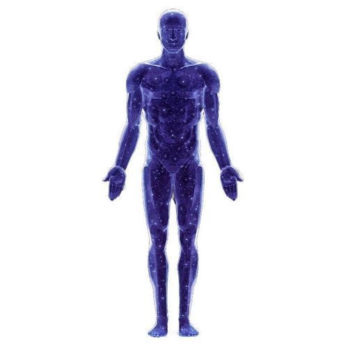 Piattaforma AI per cardiologia - SonoAI - CHISON Medical Technologies - per ospedali / per ricerca medica / per diagnostica per immagini