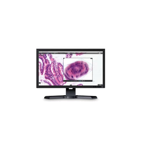 Software di analisi - CaseViewer - Sysmex Europe - visualizzatore / medico / per tablet PC