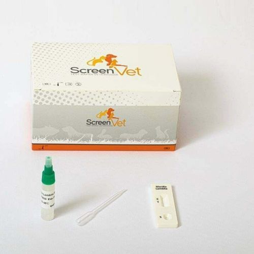 Test rapido per malattie infettive - SCV-4218-10 - SCREEN ITALIA - veterinario / per cani / per anticorpi