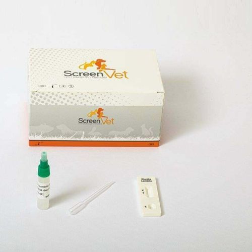 Test rapido per malattie infettive - SCV-4232-10 - SCREEN ITALIA - veterinario / per cani / per antigeni