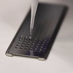 Vetrino per microscopio - FlexiFocus™ - Shimadzu