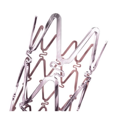 Stent periferico - PALMAZ GENESIS™  - Cordis - in acciaio inossidabile