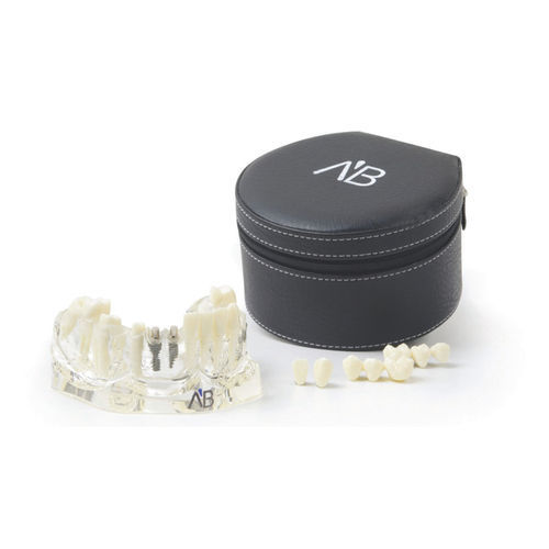 Modello anatomico di mandibola - TLJ  - A.B. Dental Devices - per implantologia / in plastica / trasparente