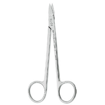 Forbici per gengive - 0308-1 - ASA Dental - di Quinby / par paziente umano / dritta