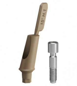 Pilastro dentale per impianto in titanio - B&B DENTAL - in PEEK / in plastica / interno