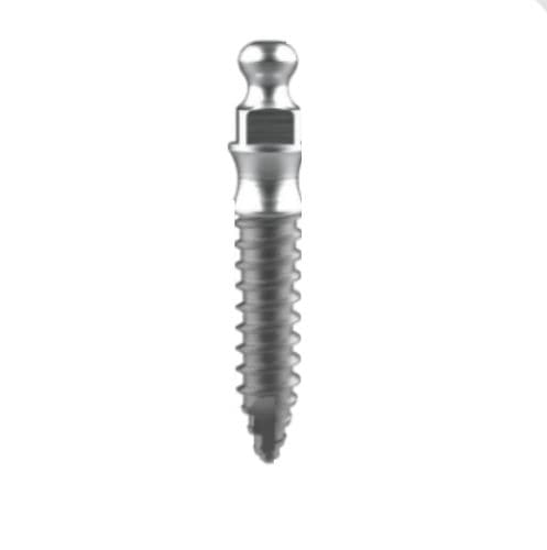Miniimpianto conico - BOB series - BIOTEM.Co.,Ltd   - in titanio / conico / sferico