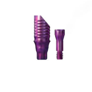 Pilastro dentale per impianto in titanio - copaSKY Titanium Base - bredent medical - interno / dritto / a vite