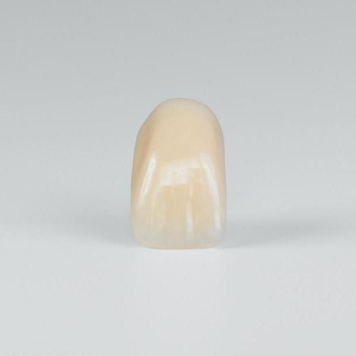 Protesi dentale in PMMA - PhysioStar NFC+ - Candulor - per denti anteriori / per denti posteriori / traslucida