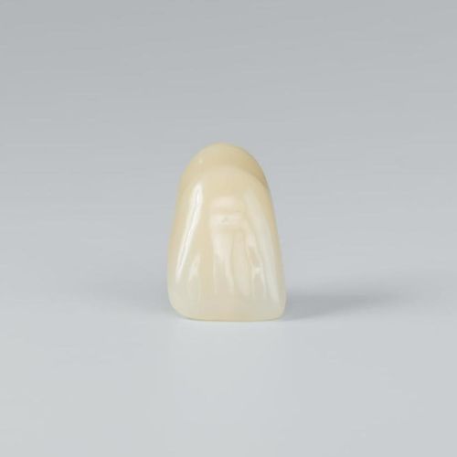 Protesi dentale in PMMA - PhysioSet TCR - Candulor - per denti anteriori / per denti posteriori