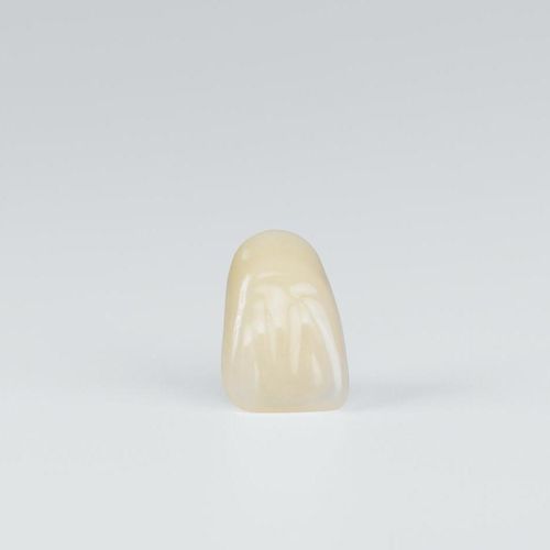 Protesi dentale in acrilico - Preference Acrylic - Candulor - per denti anteriori / per denti posteriori