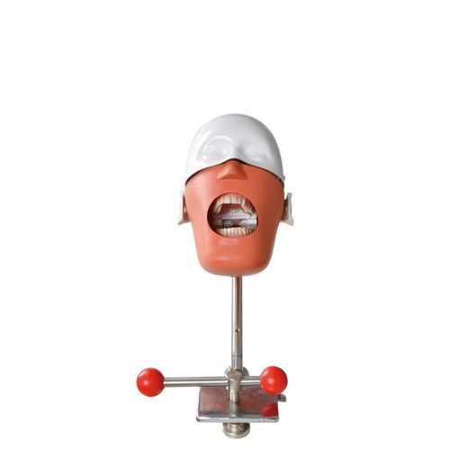 Simulatore didattico - Foshan Roson Medical Instrument - odontoiatrico / per assistenza generale / per malattie dentali