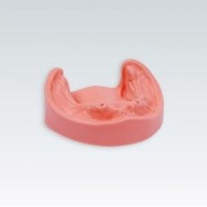 Modello anatomico di mandibola - B-3 CSPJW UK 99-002 - frasaco - per implantologia / didattico
