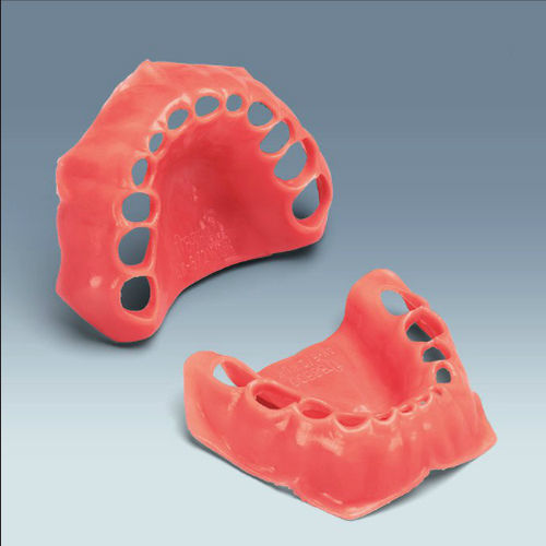 Modello anatomico gengivale - AK-6/2 WOK - frasaco - di dentatura / ad uso didattico