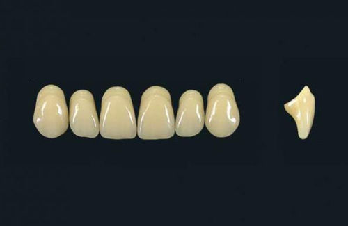 Protesi dentale in polimero acrilico - TRIBOS 501  T66-UJ-C2 - GEBDI Dentalproducts GmbH   - per denti anteriori
