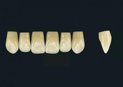 Protesi dentale in polimero acrilico - TRIBOS 501 VT76-UJ-C2 - GEBDI Dentalproducts GmbH   - per denti anteriori