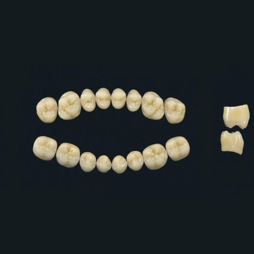 Protesi dentale in polimero acrilico - TRIBOS 501 PM-LJ-A2 - GEBDI Dentalproducts GmbH   - per denti posteriori