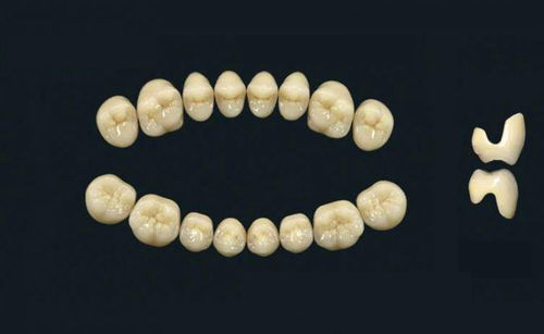 Protesi dentale in polimero acrilico - TRIBOS 501 C SMA-UJ-B1 - GEBDI Dentalproducts GmbH   - per denti posteriori
