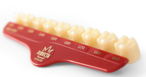 Corona dentale policarbonato - Directa® - DIRECTA AB   - molari / traslucido