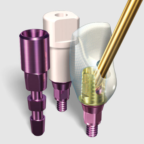 Pilastro dentale per impianto in titanio - SMARTbase™ - Implant Direct Europe - ad esagono interno / dritto / CAD CAM