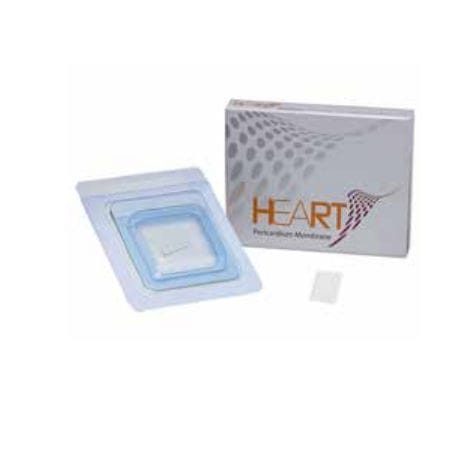 Matrice tissutale chirurgia odontoiatrica - 80000003 - INDUSTRIA ZINGARDI SRL  