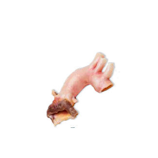 Bioprotesi valvolare aortica - CardioGraft® - Lifenet Health  