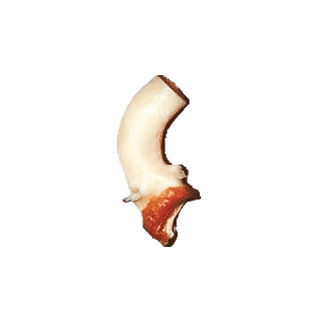 Bioprotesi vascolare aorta ascendente - CardioGraft® - Lifenet Health   - allotrapianto
