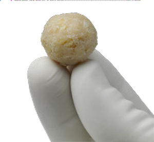 Sostituto osseo allotrapianto - ViviGen®  - Lifenet Health   - per chirurgia ortopedica / conformabile