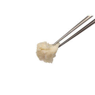 Sostituto osseo allotrapianto - PliaFX® Prime - Lifenet Health   - per chirurgia ortopedica / conformabile