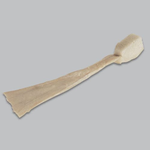 Protesi di legamento tendine calcaneale - FlexiGraft® - Lifenet Health   - legamento crociato anteriore / legamento crociato posteriore / allotrapianto