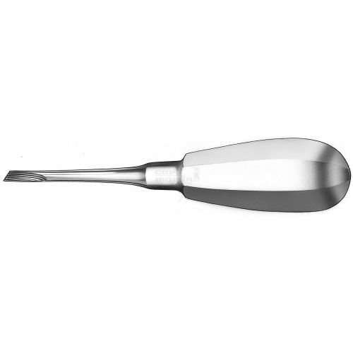 Leva lussatrice dentale dritta - 541/1 - Carl Martin GmbH   - di Kopp