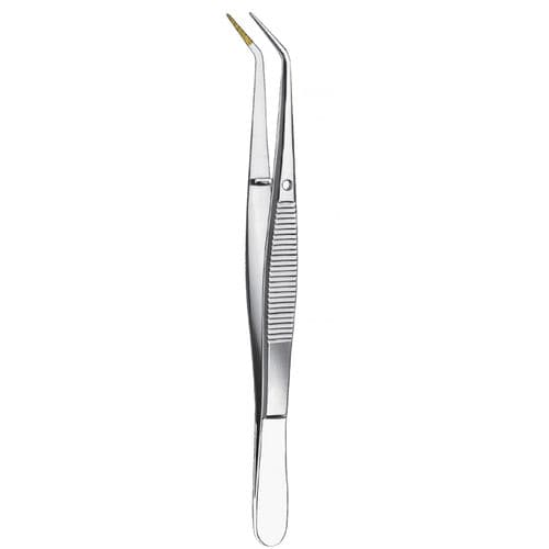 Pinza endodontica - 708 - Carl Martin GmbH   - parodontale / in acciaio inossidabile