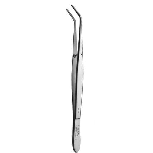 Pinza dentale - 1123 - MEDESY s.r.l.   - per medicazione / curva / in acciaio inossidabile