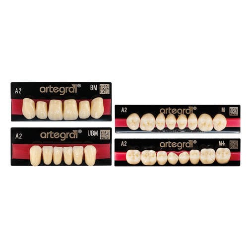 Protesi dentale in PMMA - artegral®  - Merz Dental GmbH   - per denti anteriori / per denti posteriori / prefabbricata