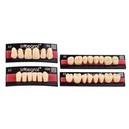 Protesi dentale in PMMA - integral® - Merz Dental GmbH   - per denti anteriori / per denti posteriori / forma anatomica