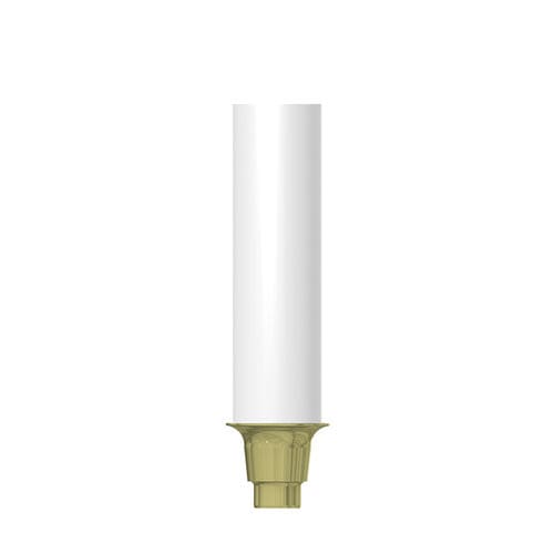Pilastro dentale per impianto in plastica - CN-GP010 - MIS Implants Technologies Ltd.   - conico / dritto