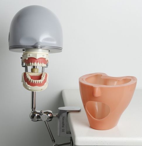 Simulatore didattico - Myphantom - Navadha Enterprises   - odontoiatrico / di testa / portatile