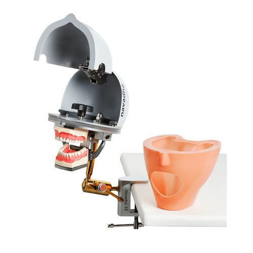 Manichino didattico odontoiatrico - NA004-AQM - Navadha Enterprises   - di testa / portatile
