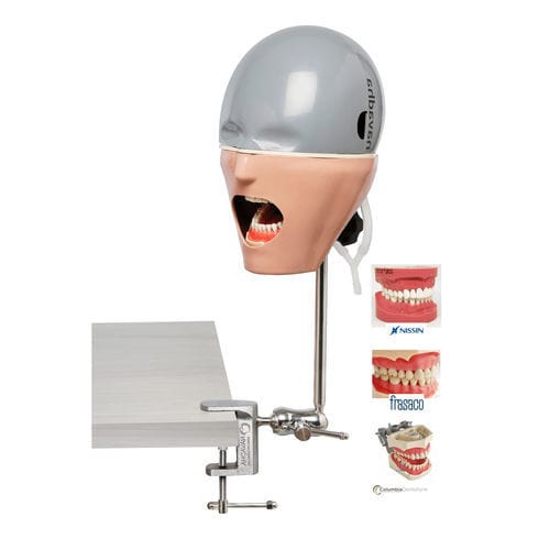 Manichino didattico odontoiatrico - NAUNI - Navadha Enterprises   - di testa