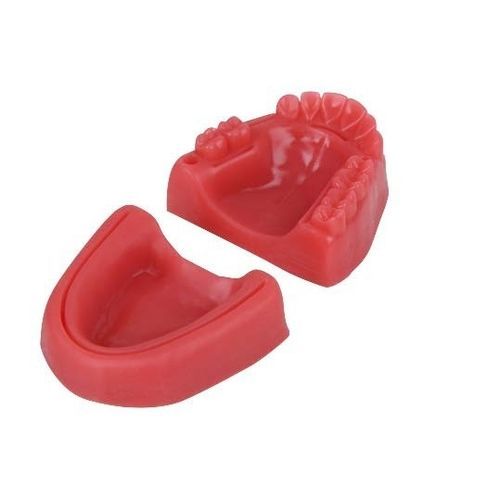 Modello anatomico orale - SP087 - Navadha Enterprises   - per cure odontoiatriche / didattico / per sutura