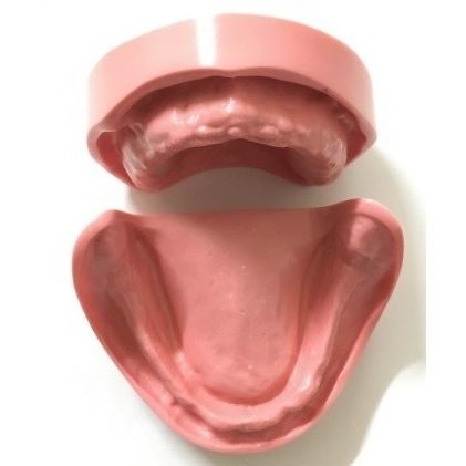 Modello anatomico odontoiatrico - SP064 - Navadha Enterprises   - per protesistica dentale / didattico / in resina