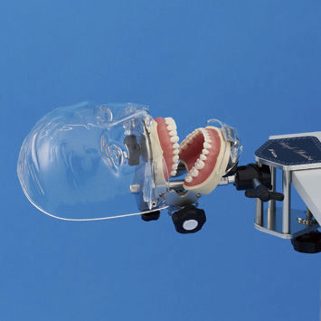 Manichino didattico per cure odontoiatriche - SIMPLE MANIKIN III - Nissin Dental Products Inc.   - di testa